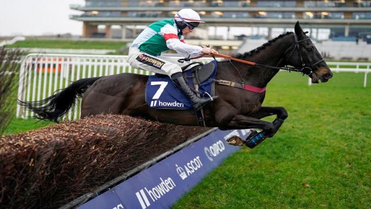 Horse racing action at Ascot